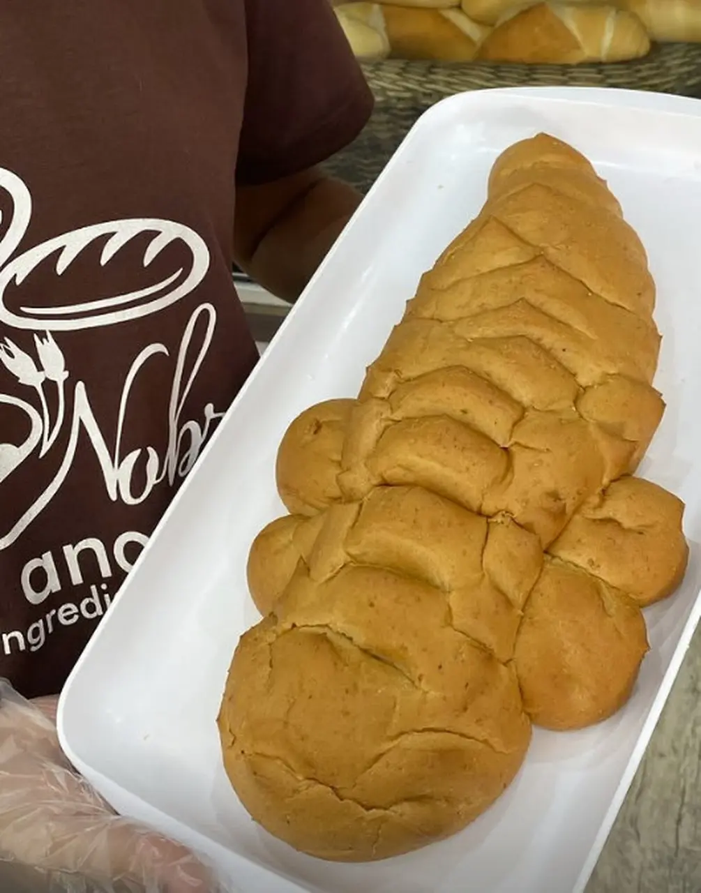 pão em formato de jacaré