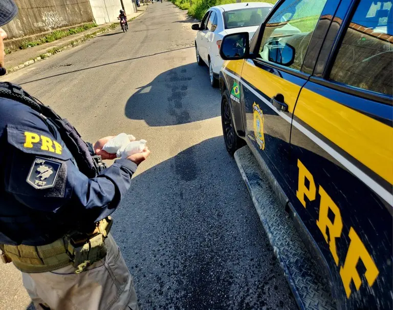 cocaina prf apreensao fortaleza regiao metropolitana