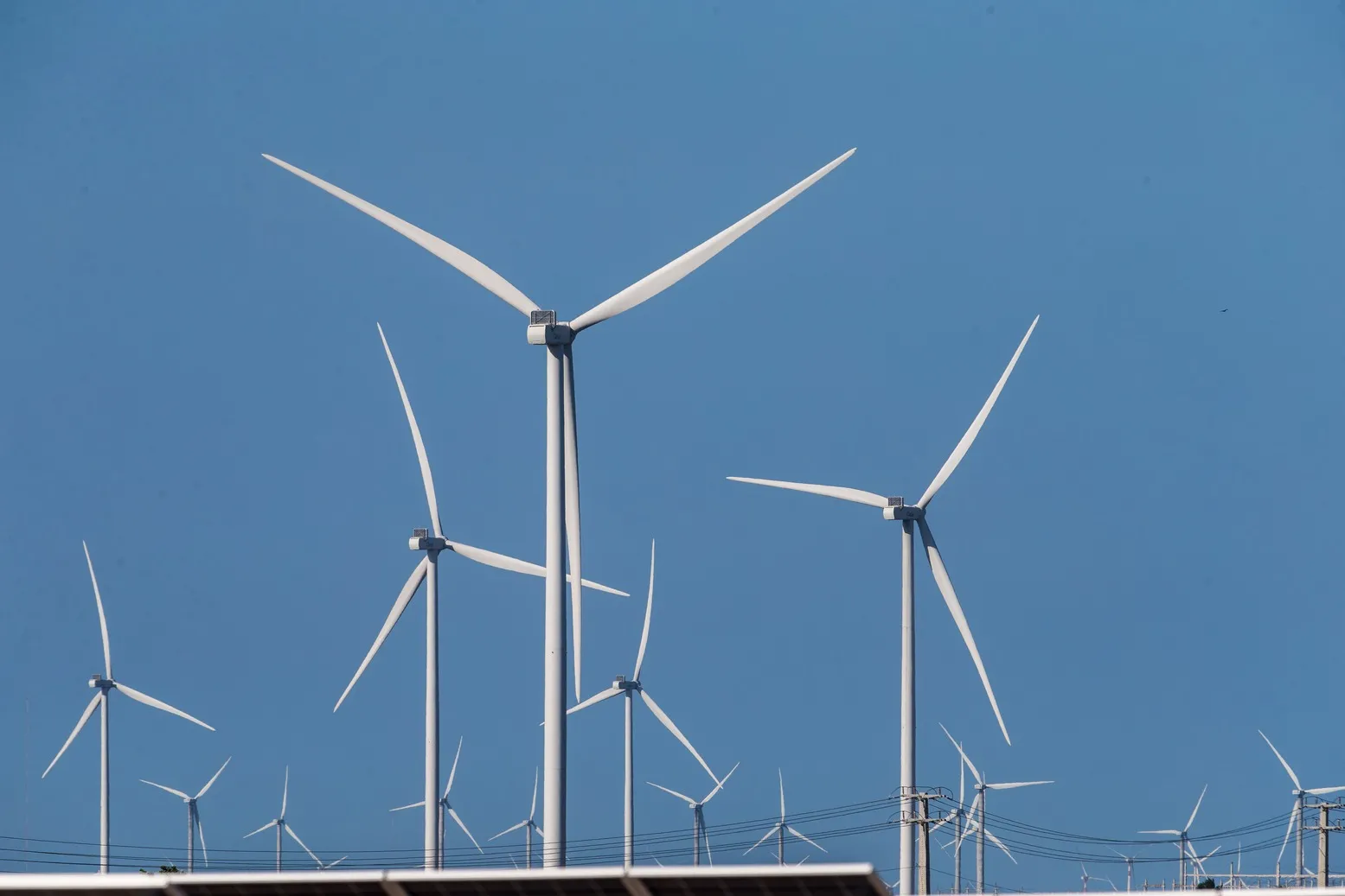 Usinas de energia renovável têm registrado prejuízos por cortes na geração determinados pelo ONS