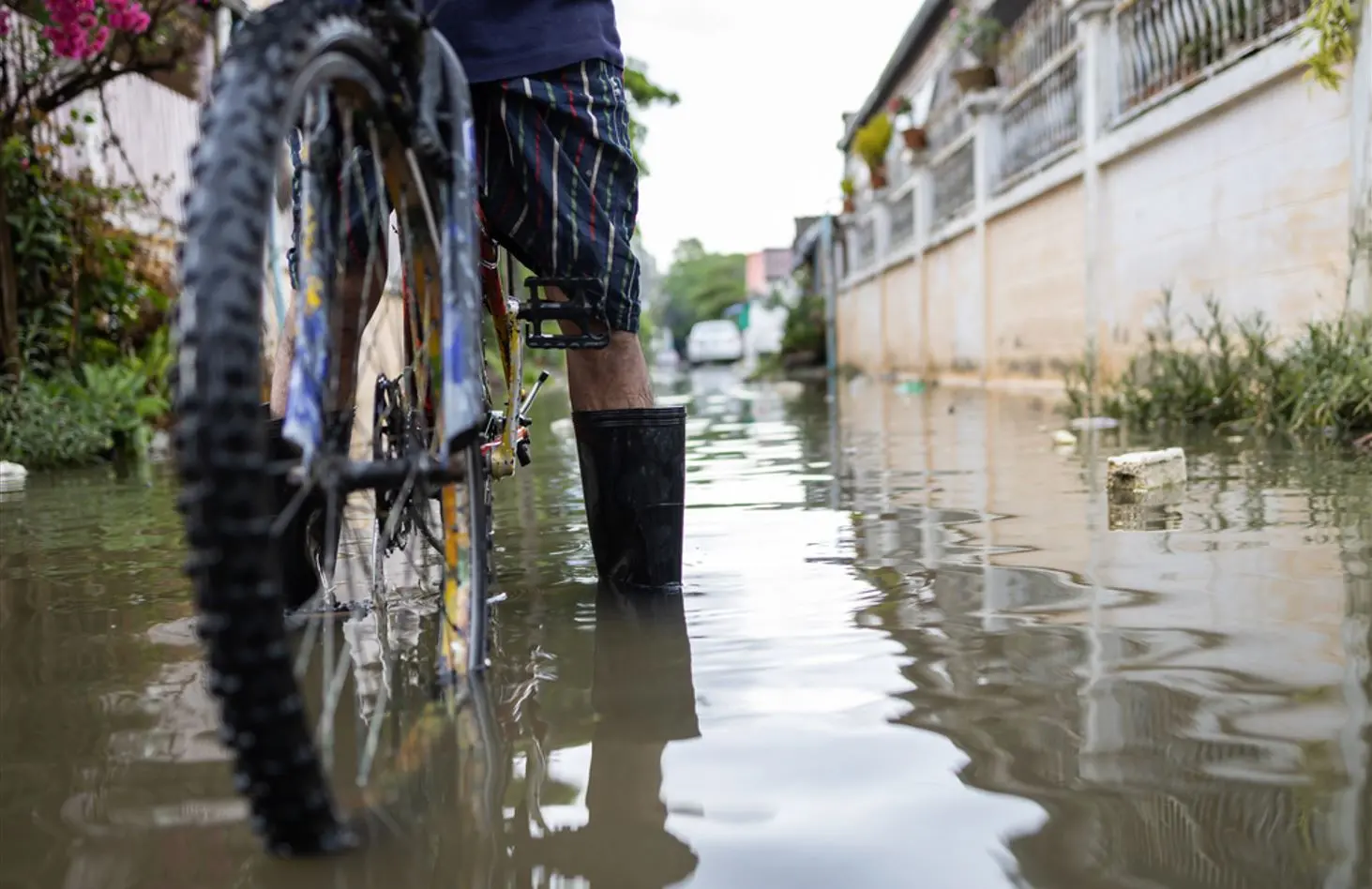 foto de homem em bicicleta atravessando enchente com bota de plástico. A imagem ilustra uma matéria sobre leptospirose