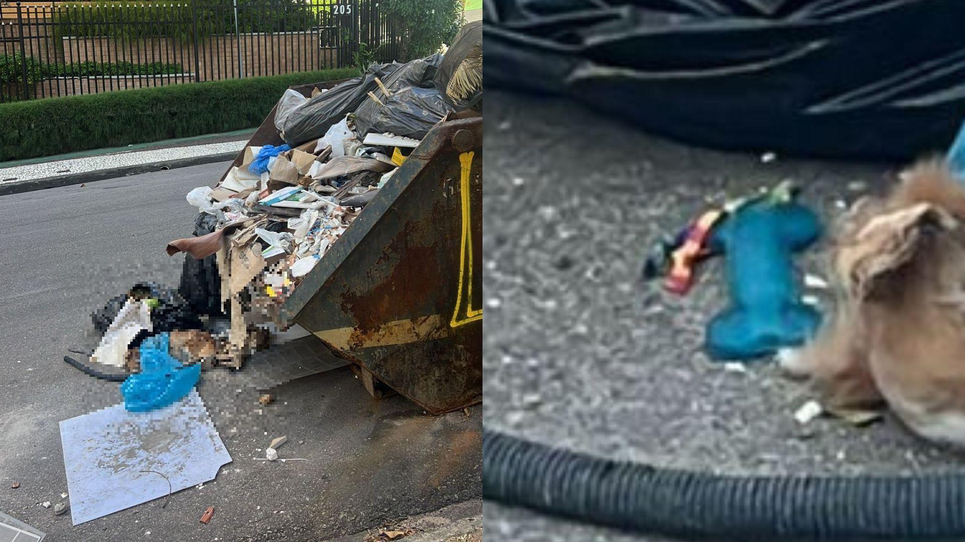 Corpo de cachorro abandonado no lixo com seus brinquedos e cama no bairro Meireles em Fortaleza
