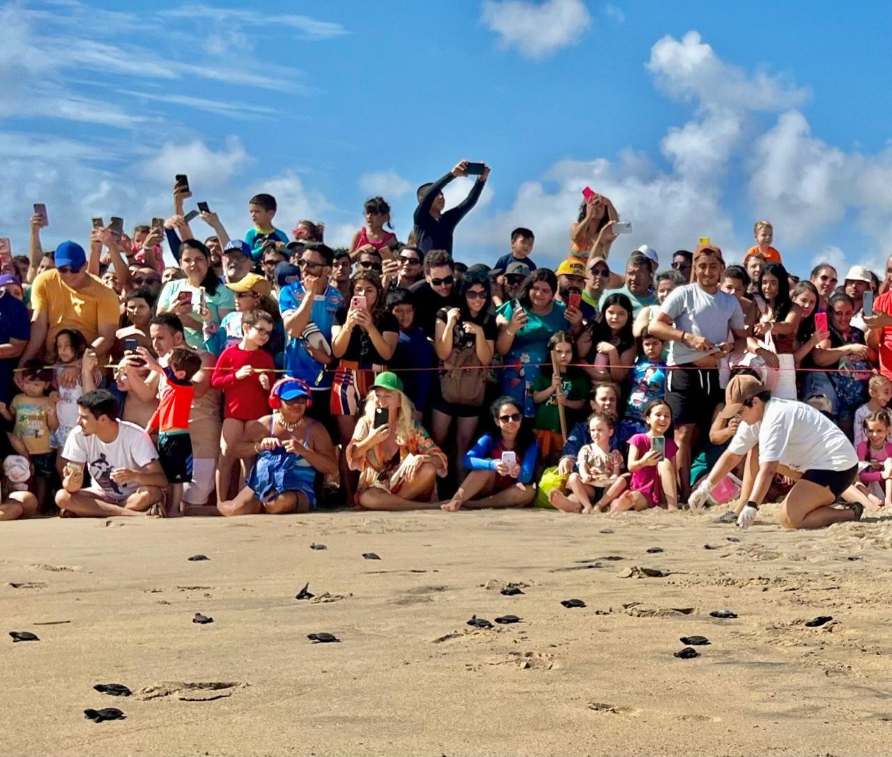 Imagem de muitas pessoas sentadas na areia da praia fotografando nascimento de tartarugas, à luz do dia