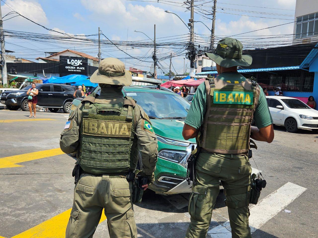 agentes do ibama, de costas, diante de trânsito