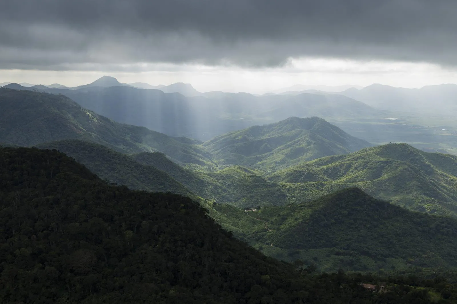 Vista aérea da APA da Serra de Baturité, onde está Guaramiranga