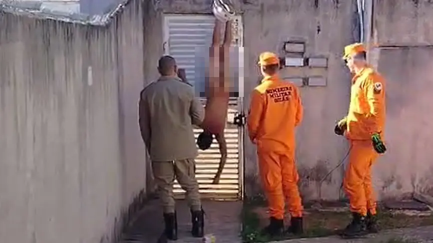 capa da noticia