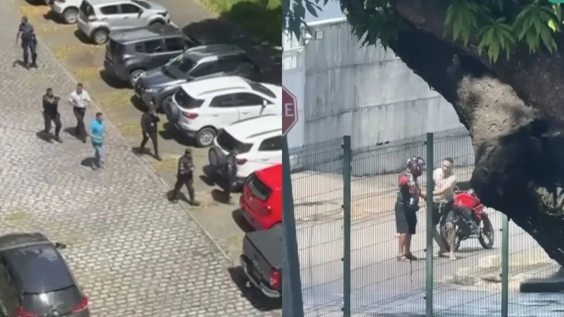 Imagens de homem tentando roubar arma de vigilante da UFC