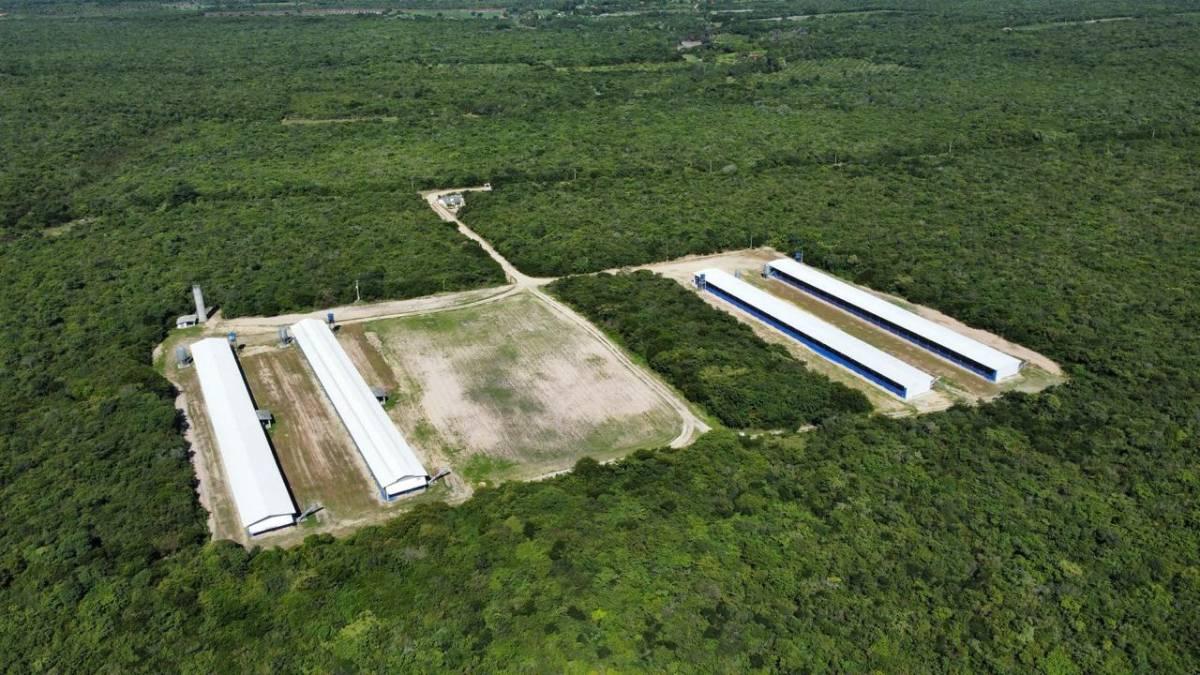 Granja vista do alto