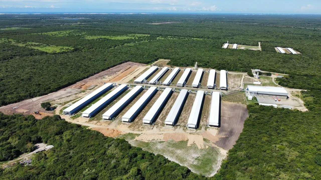 Localizada em um terreno de 400 hectares, a unidade de Beberibe conta com um isolamento geográfico estratégico para favorecer a biossegurança