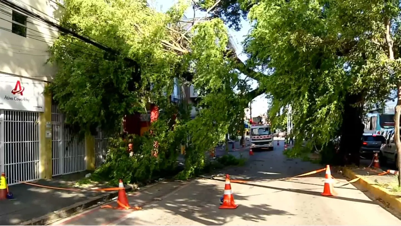 Imagem mostrando árvores caídas na rua, bloqueando o trânsito. Sinalização de segurança com cones laranjas ao redor das árvores, evidenciando o impacto de eventos climáticos.