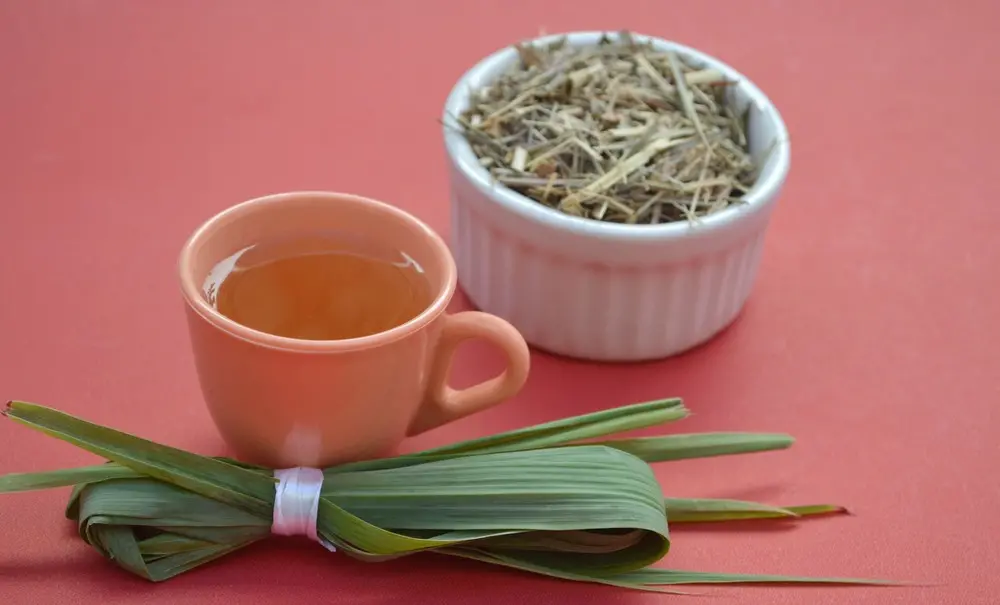 Chá de capim-santo para matéria sobre chás ideais para tratar gripe