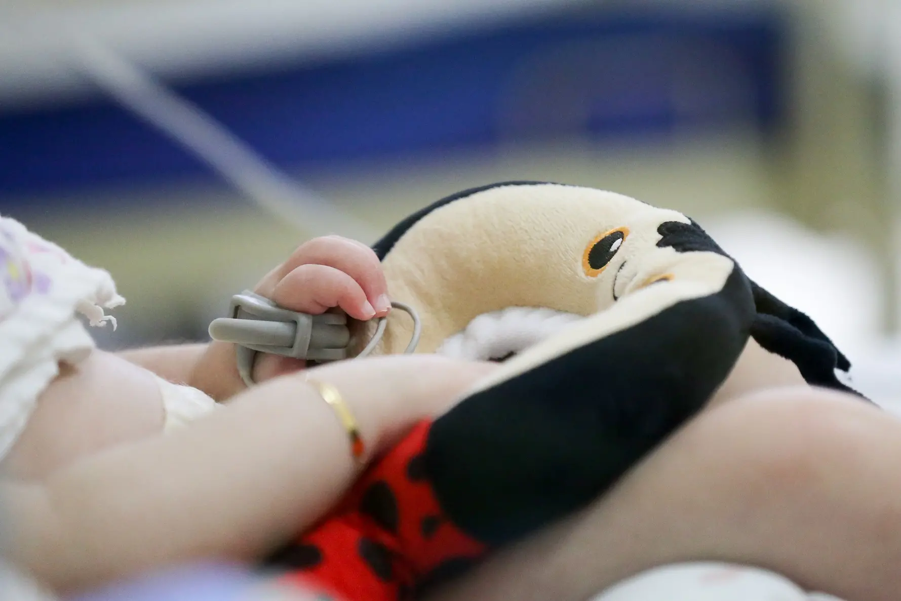 Foto fechada de braço de criança internada em leito de hospital segurando joaninha de pelúcia
