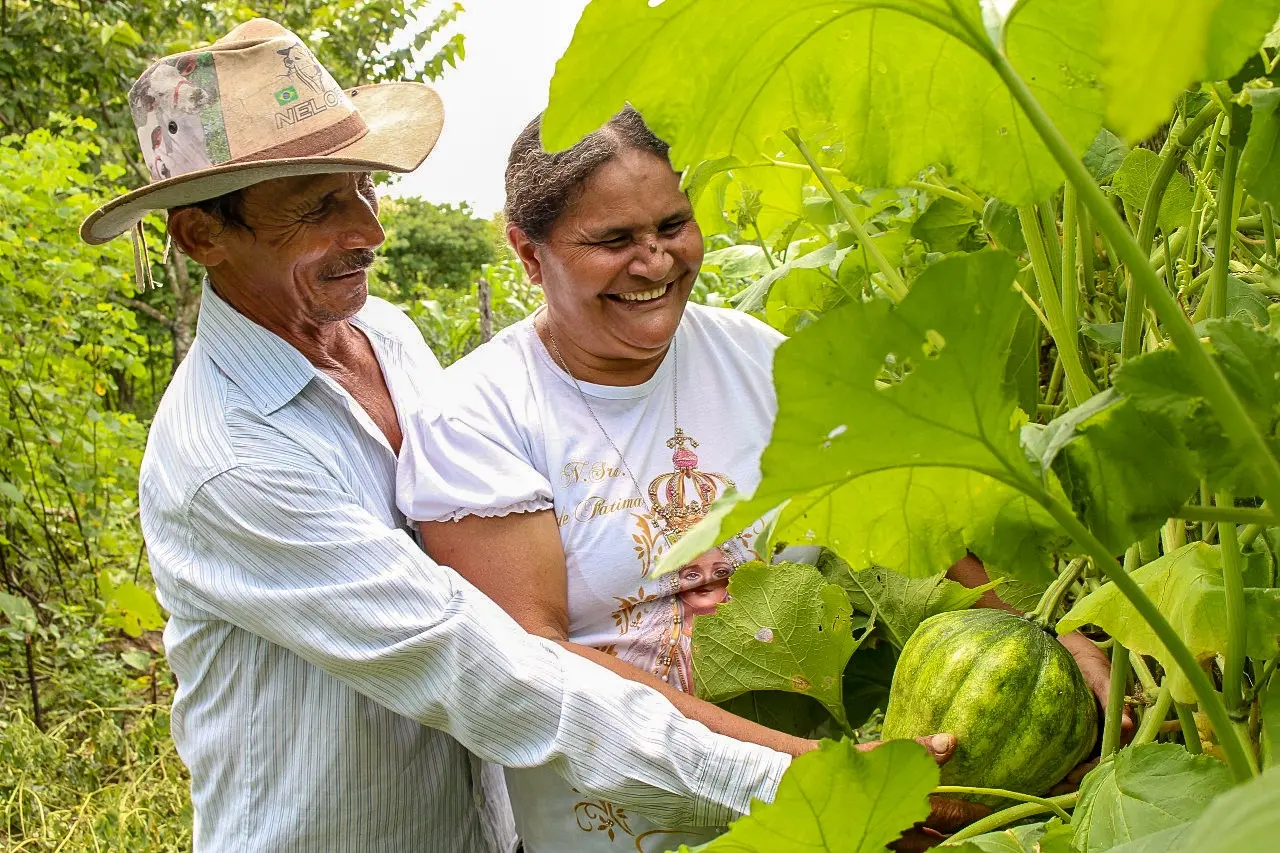 Foto de casal de agricultores em meio a uma plantação de jerimuns. O homem está de chapéu e camisa social e a mulher usa uma camisa branca com estampa de Nossa Senhora. Os dois estão sorrindo