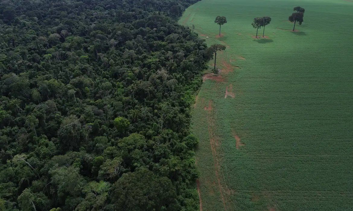 Para o Ministério do Meio Ambiente e Mudança do Clima (MMA), o PL representa risco à segurança ambiental e social no País