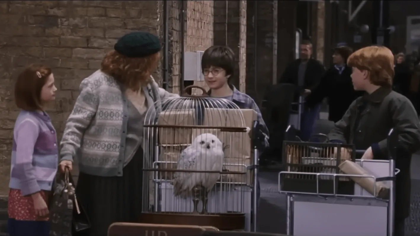 Filmes da franquia Harry Potter serão exibidos em videoteca da Unifor