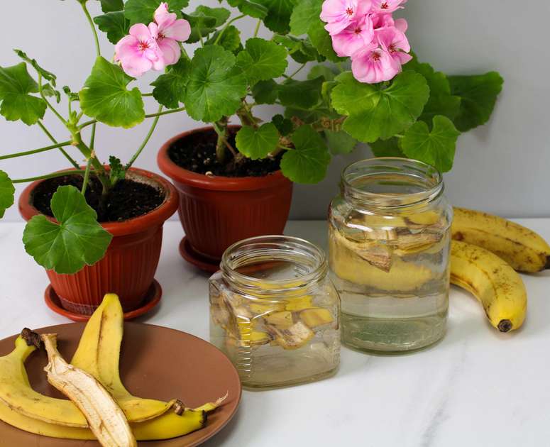 Cascas de Banana na Água: O Segredo Surpreendente para Plantas Mais Fortes e Saudáveis!