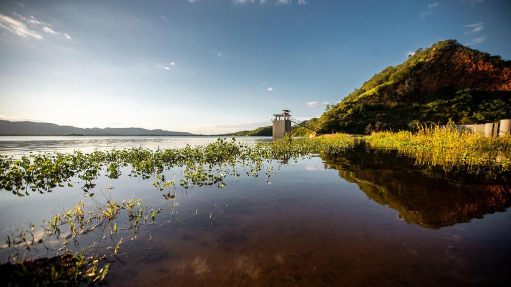 A imagem mostra uma grande massa de água calma do açude Orós, no Ceará, com vegetação aquática verde flutuando na superfície em primeiro plano. Ao fundo, há uma estrutura similar a uma torre, parcialmente submersa na água. À direita, uma colina coberta de vegetação marrom-esverdeada se eleva. O céu é azul com algumas nuvens brancas, e a luz do sol ilumina a cena, criando um reflexo brilhante na água.