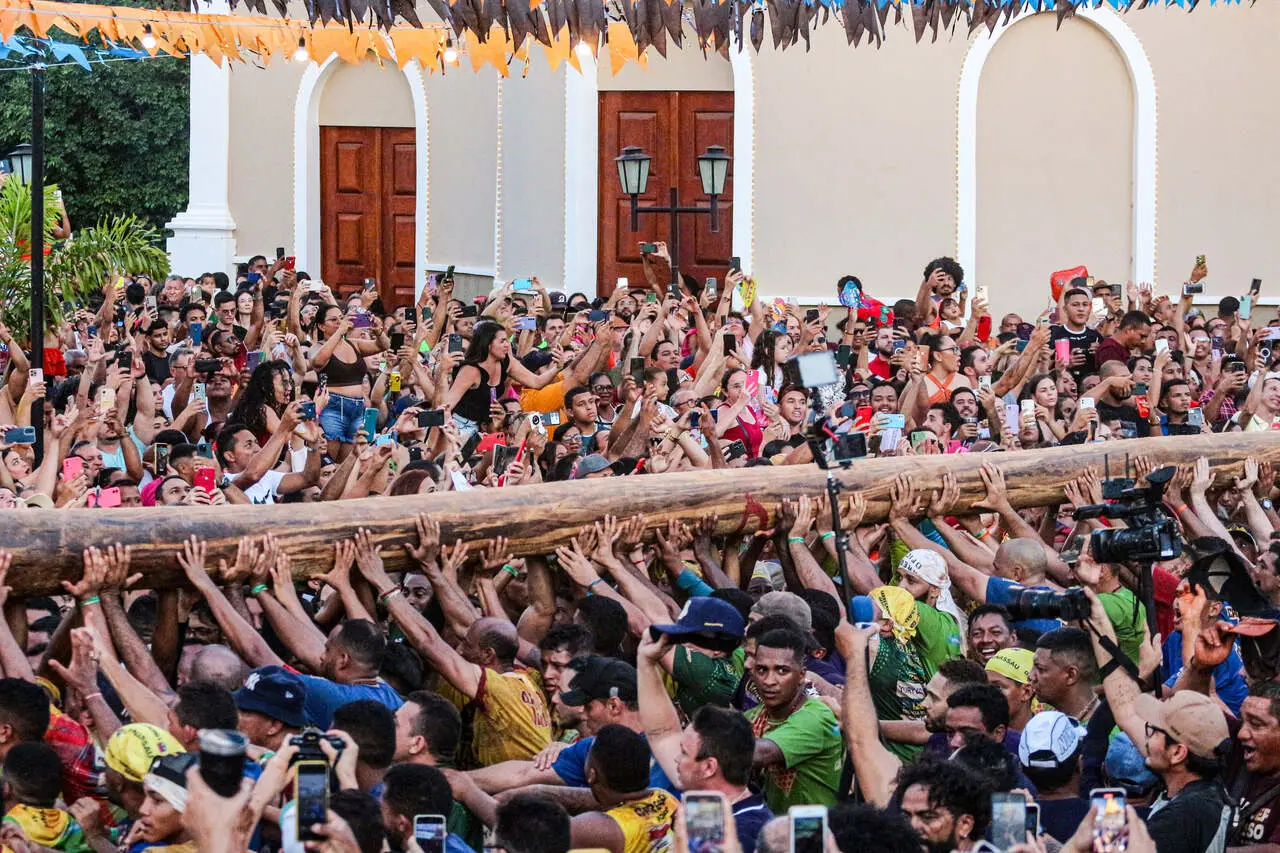 Mais de 300 homens se revezam no carregamento do Pau da Bandeira