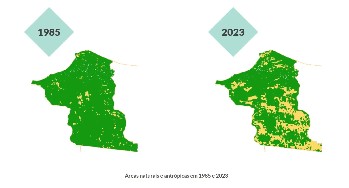 Mapa de áreas verdes em Jijoca de Jericoacoara entre os anos de 1985 e 2023