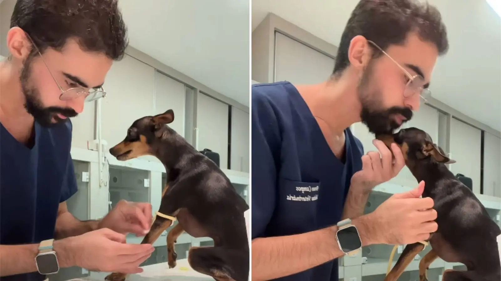 Colagem de duas imagens mostra médico veterinário acalmando e beijando cachorrinho antes de aplicar medicação