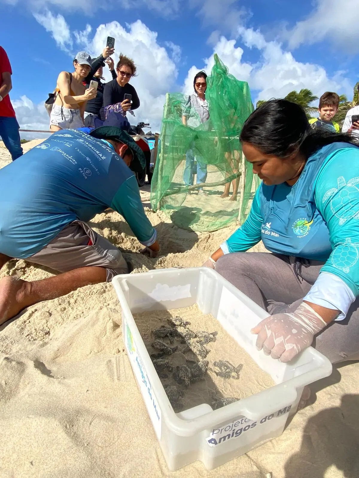 Profissionais estão sentados na praia enquanto manuseiam as tartarugas