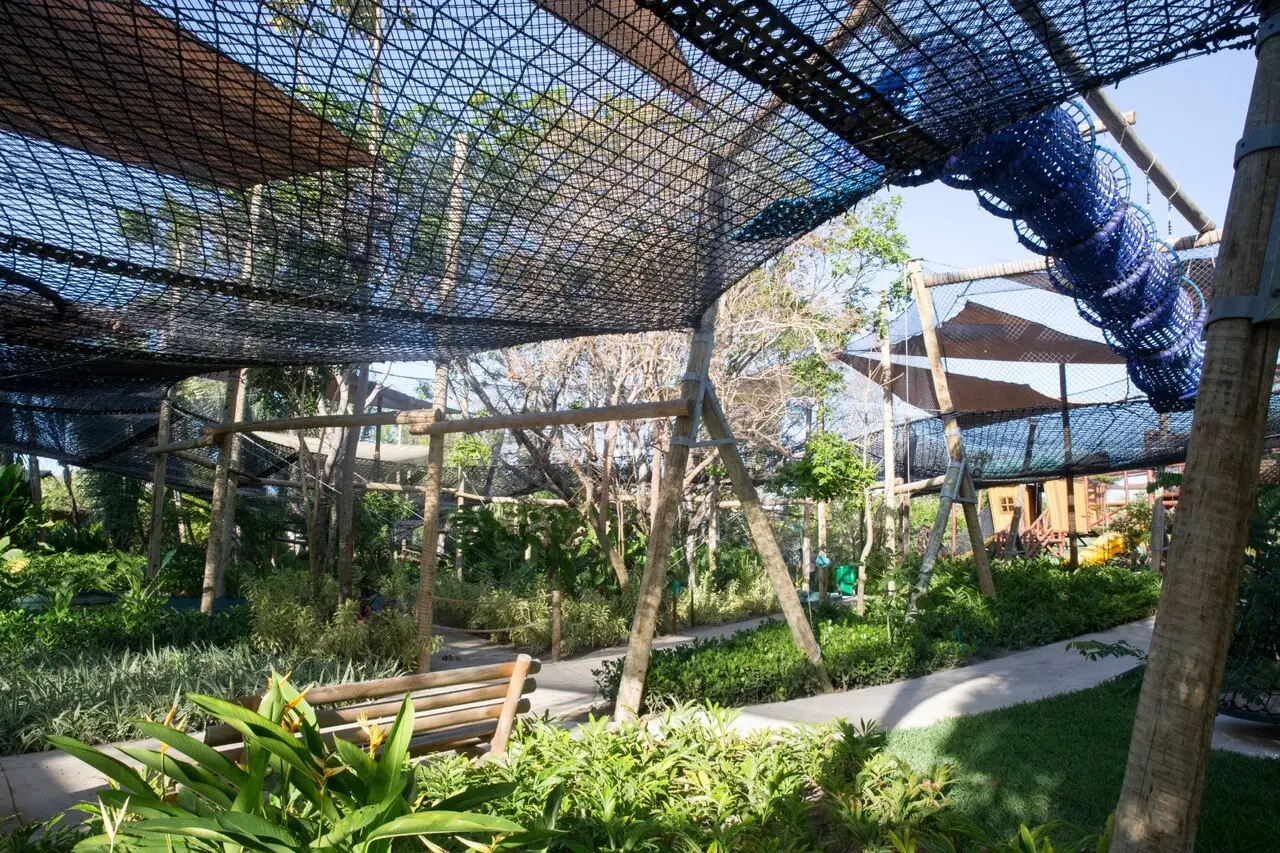 Imagem mostra espaço dentro do Parque Arvorar