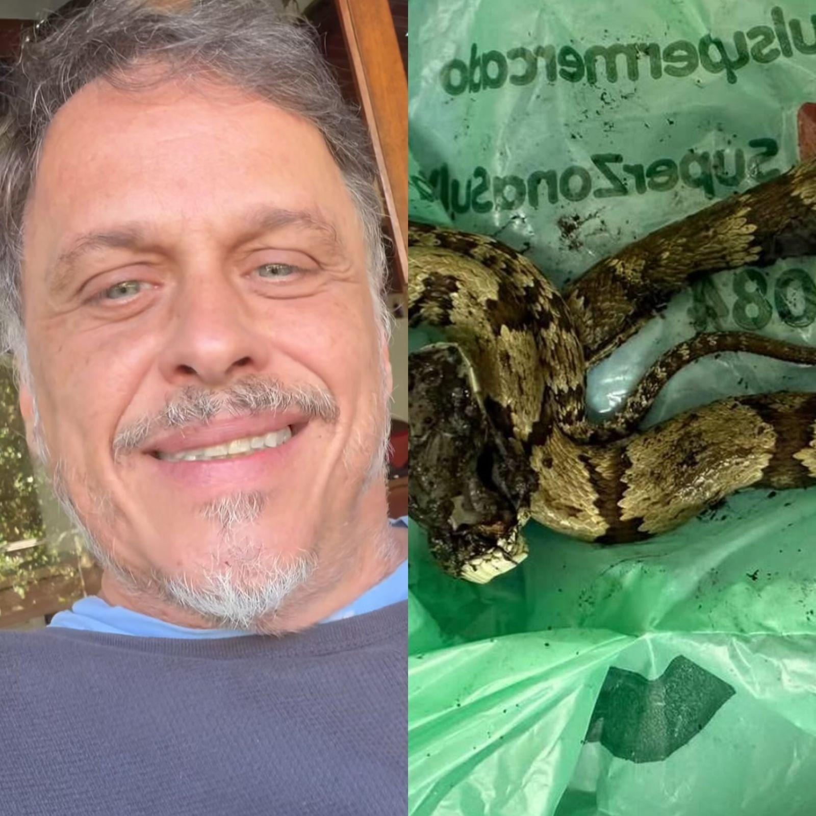 Guilherme Fontes alertou que foi necessário levar a cobra ao hospital