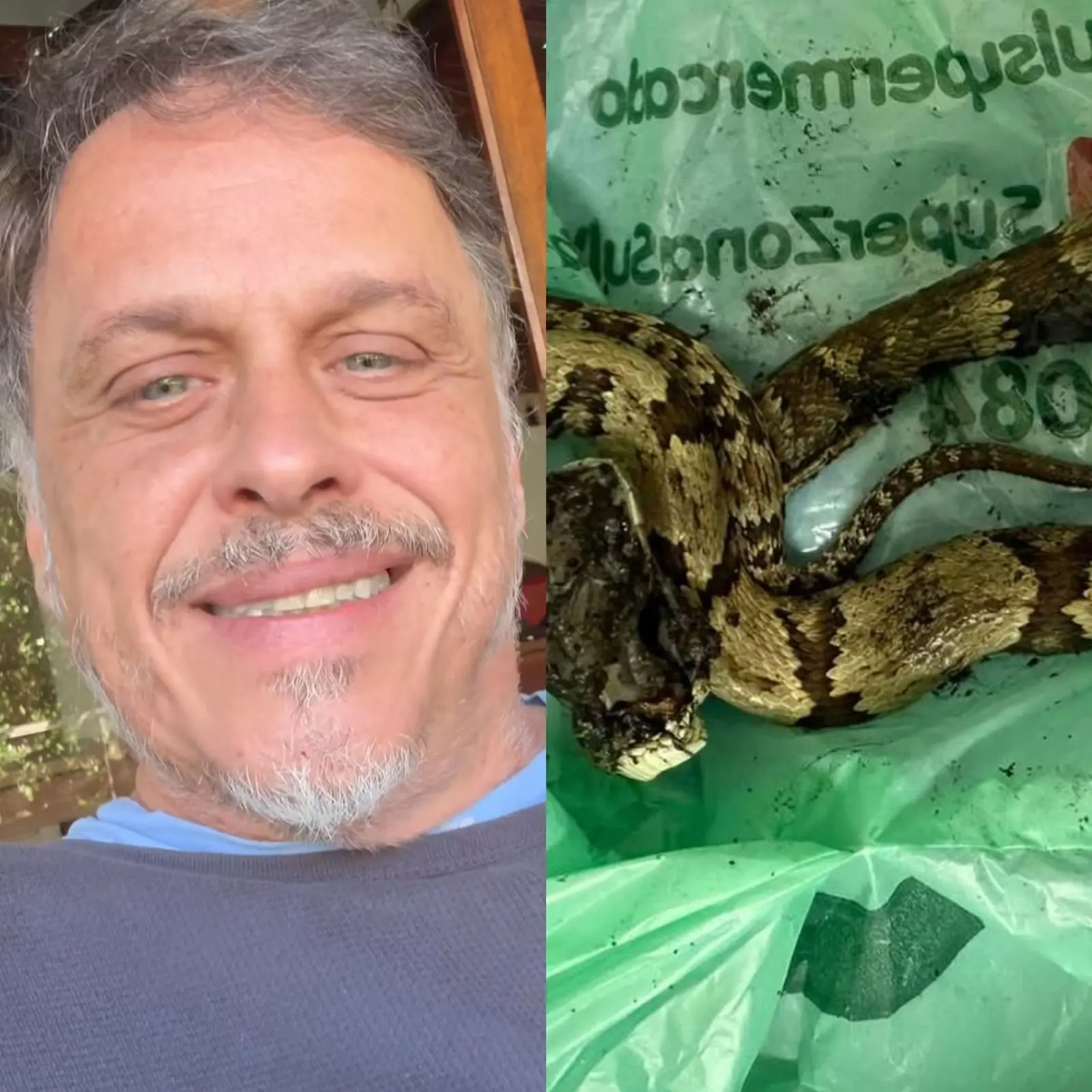 Guilherme Fontes alertou que foi necessário levar a cobra ao hospital