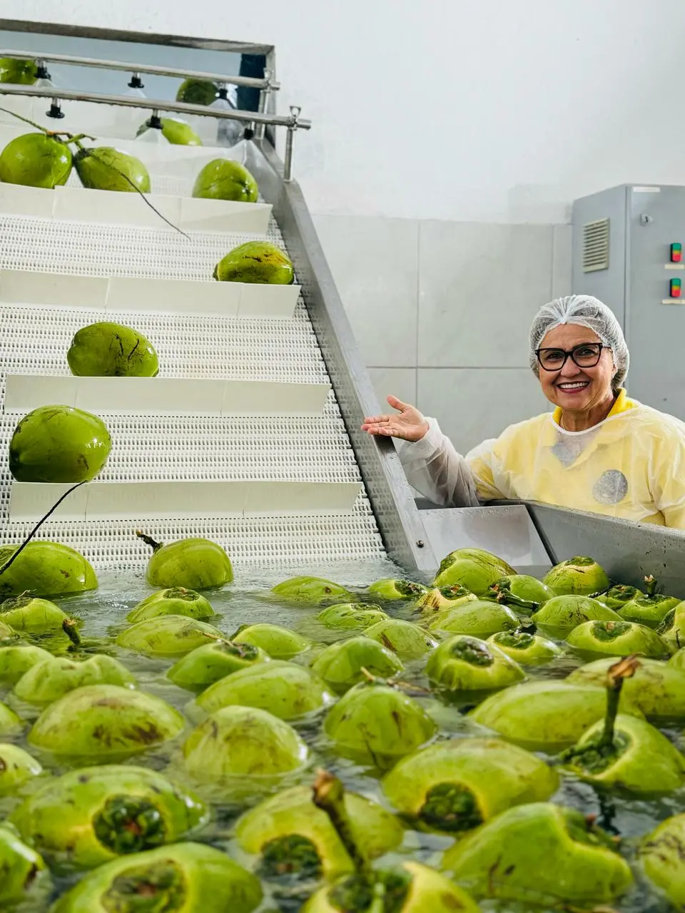 Imagem mostra empreendedora da coquicultura mostrando o beneficiamento de cocos