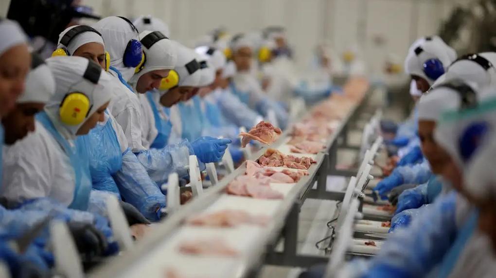 Imagem de produção em indústria de alimentos