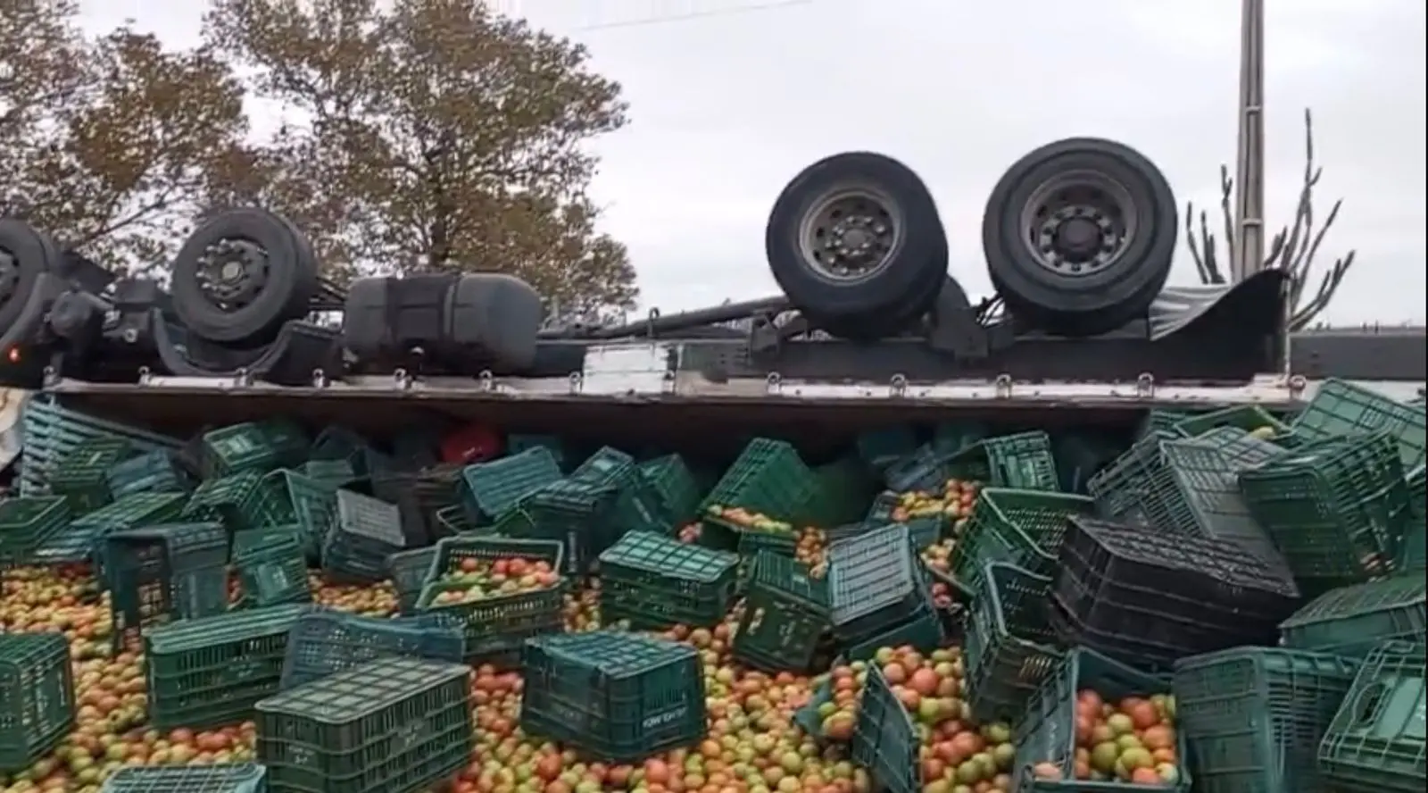 Imagem mostra acidente com caminhão carregado de tomates, na CE-138, na altura do Município de Alto Santo, Interior do Ceará. O motorista morreu