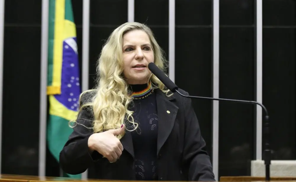 Luizianne Lins, Deputada Federal, plenário da Câmara