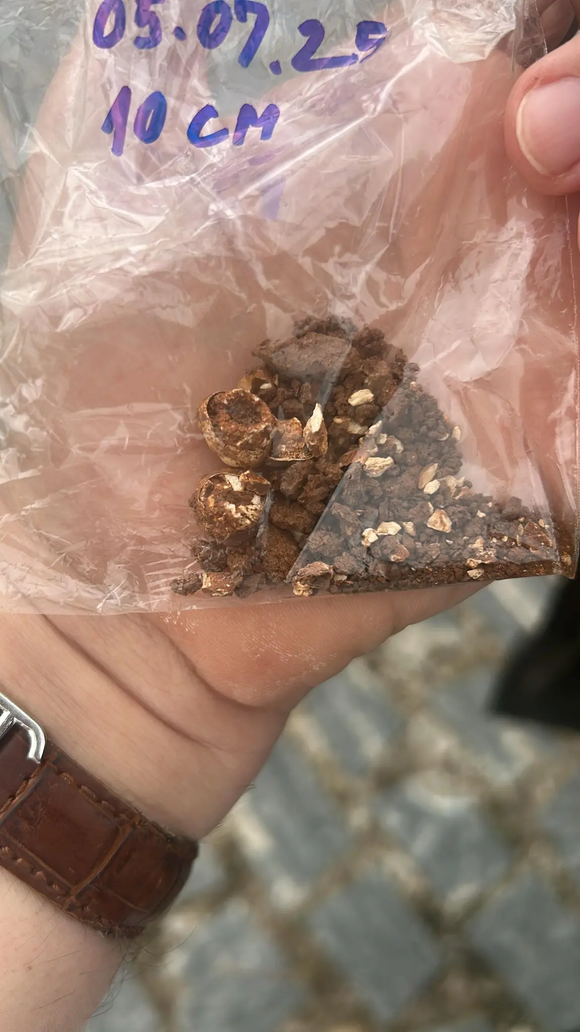 Pacote com três dentes inteiros encontrados em urna funerária indígena, no território do quilombo Serra do Evaristo, em Baturité