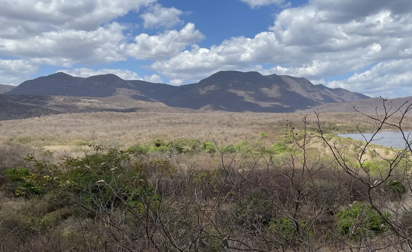 Foto de paisagem árida no Ceará, com galhos secos, montanha ao fundo e céu claro com nuvens
