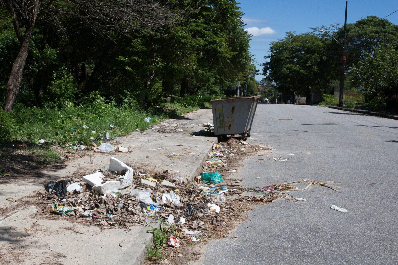 Imagem mostra rua cercada por vegetação e calçada com ponto de lixo. Mais à frente, um contêiner para depósito de resíduos.