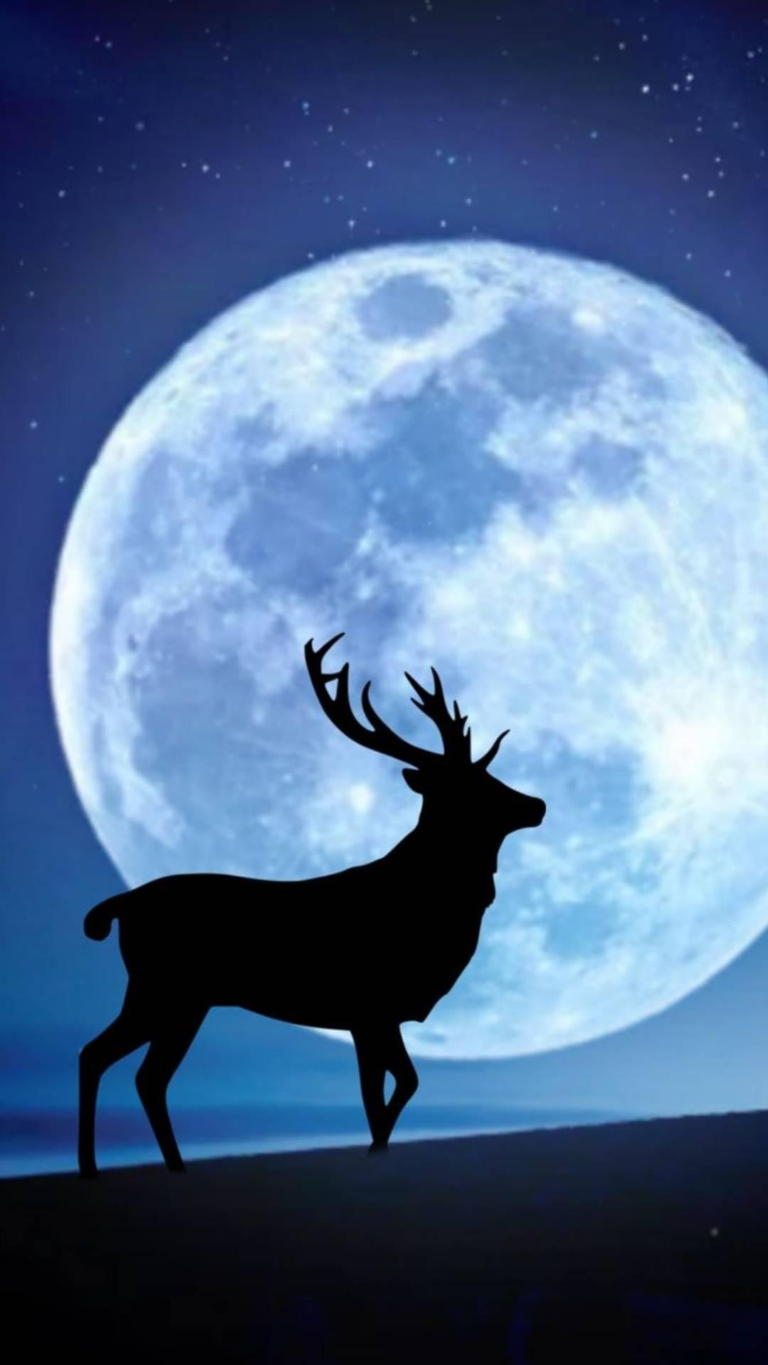 Imagem mostra veado visível pela lua, ilustrando Lua de Veado