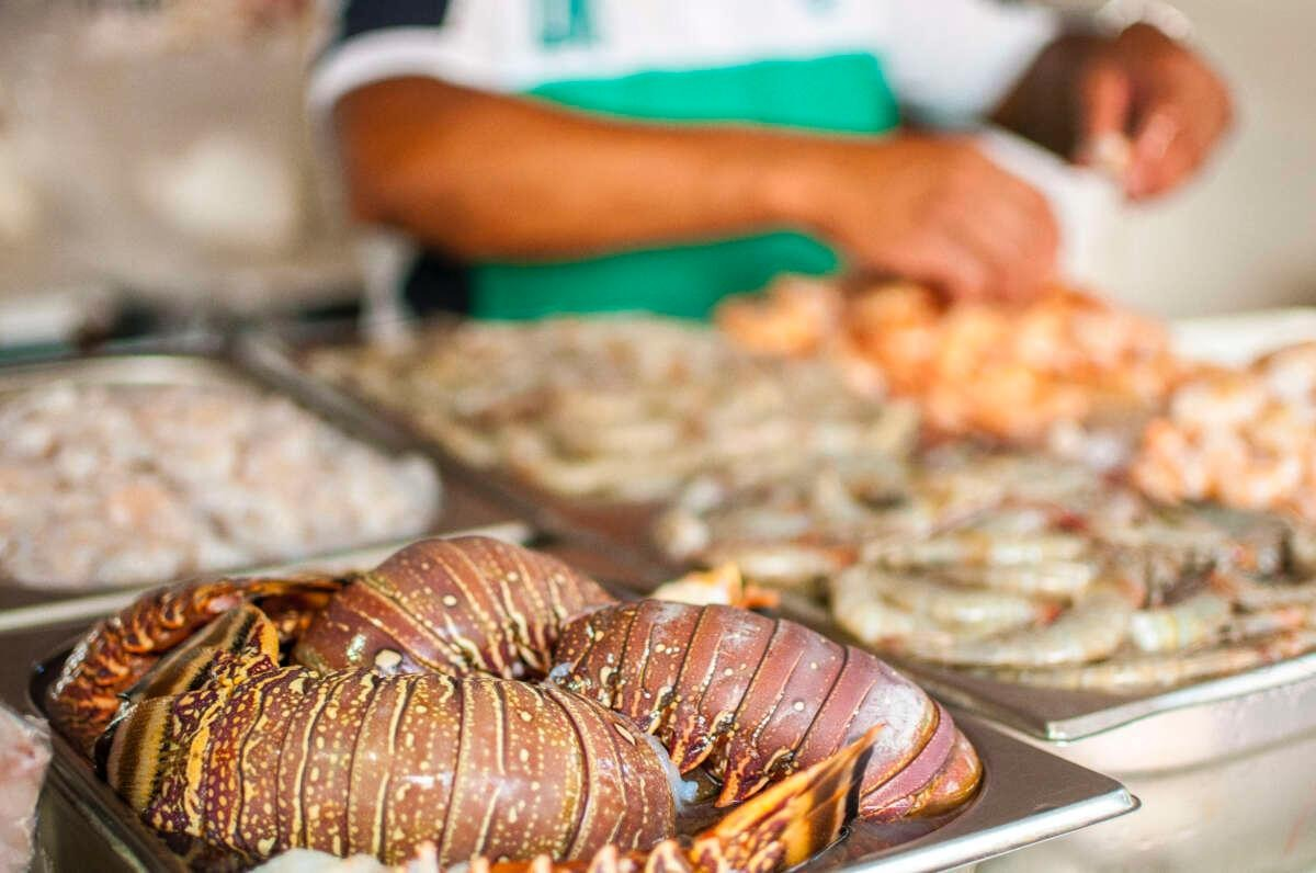 Foto que contém lagostas e camarões em bancada de pescados
