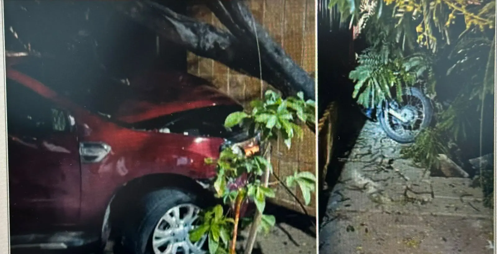 colisao meireles carro arvore