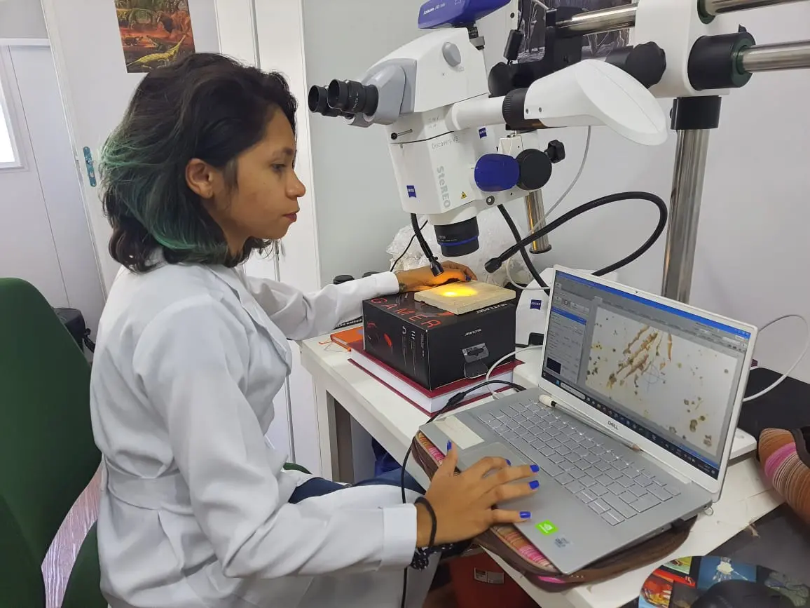 Foto mostra a pesquisadora Ednalva Santos em laboratório utilizando um microscópio e um notebook para analisar material fóssil. Ela veste jaleco branco e trabalha concentrada em um ambiente científico equipado. Ednalva é uma mulher negra e magra, e tem cabelos curtos com mechas verdes.