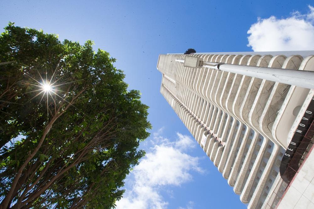 Imagem mostra um edifício alto e curvo, de cor clara, visto de baixo para cima, com o céu azul e algumas nuvens ao fundo. À esquerda, há uma grande árvore com folhagem verde e o sol brilhando através de suas folhas, criando um efeito de estrela.