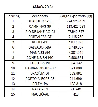 Infográfico com dados