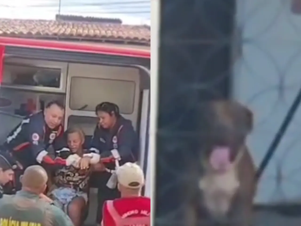 Fotos de ataque de pitbull a mulher em Maracanaú