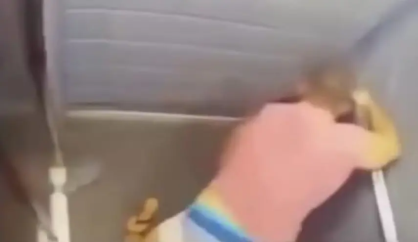 Agressão contra Juliana Garcia