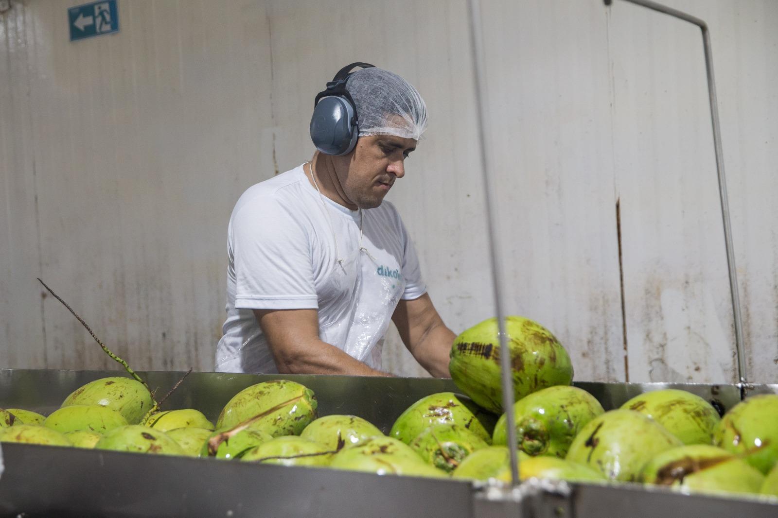 Imagem mostra trabalhador manuseando coco em uma indústria. Fim da descrição.