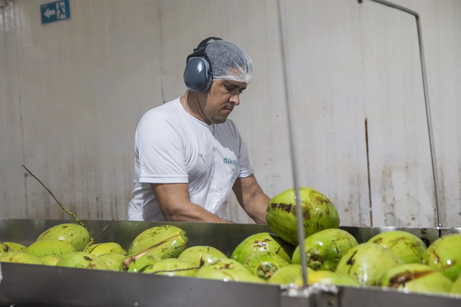 Empresas do setor lidaram com corrida contra o tempo nos últimos dias e avaliam efeitos devastadores do tarifaço de 50% sobre produtos brasileiros
