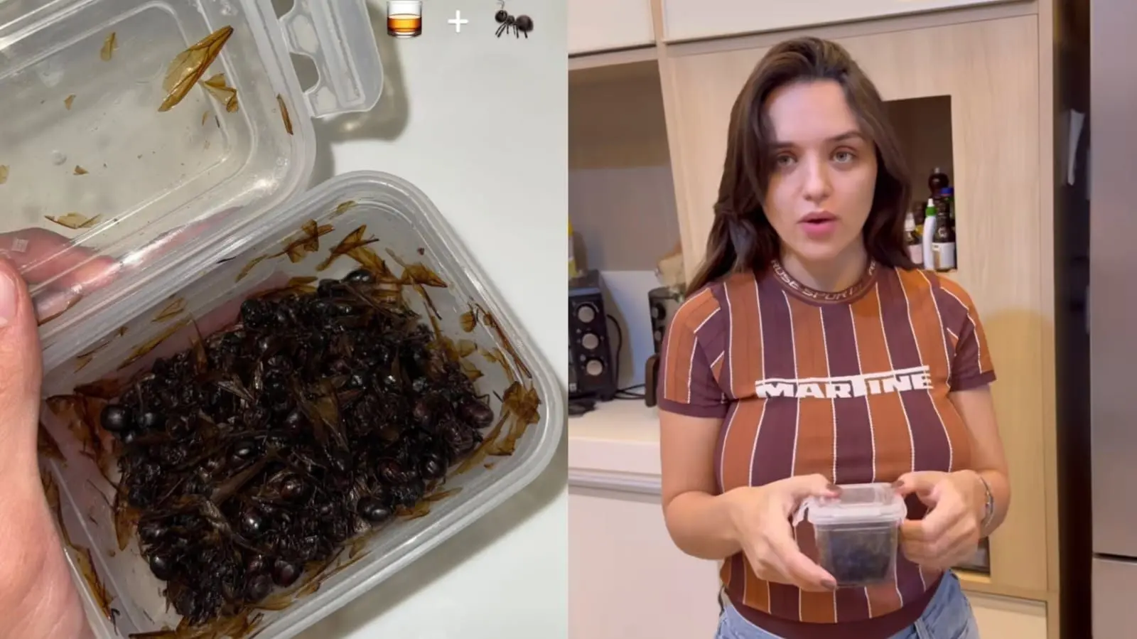 montagem com fotos mostrando pote de tanajuras e, ao lado, rafa kalimann segurando o pote com os insetos