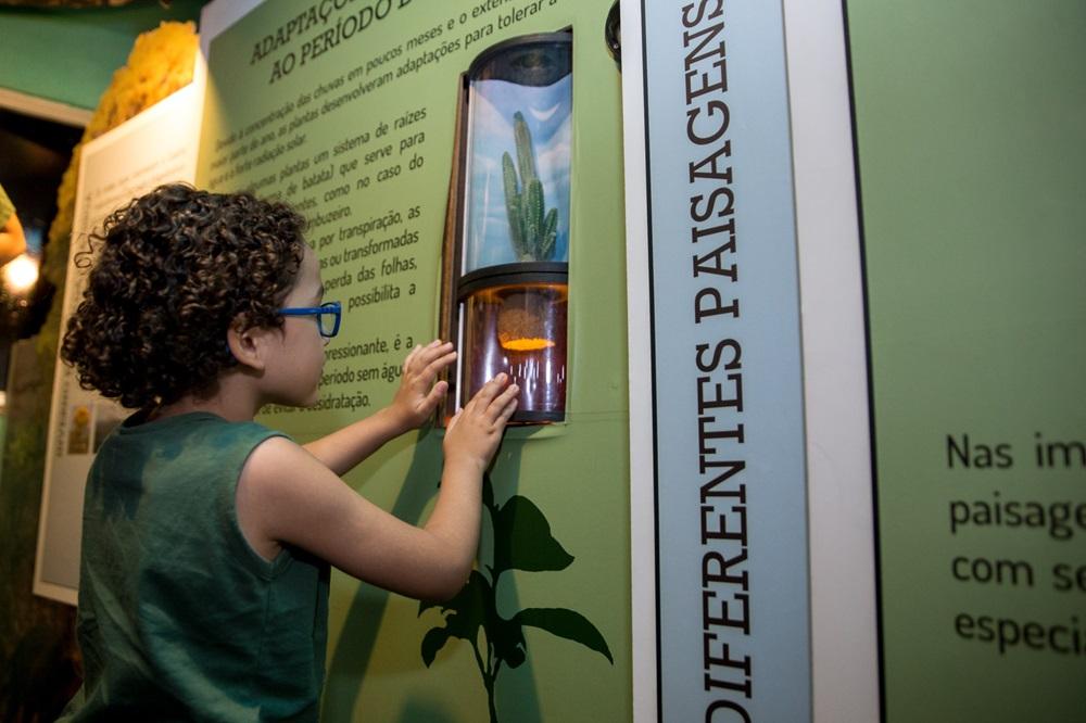 Na imagem, criança interage com painel da exposição “Caatinga: Um Novo Olhar – Entre Nesse Clima”, em cartaz na Seara da Ciência da Universidade Federal do Ceará