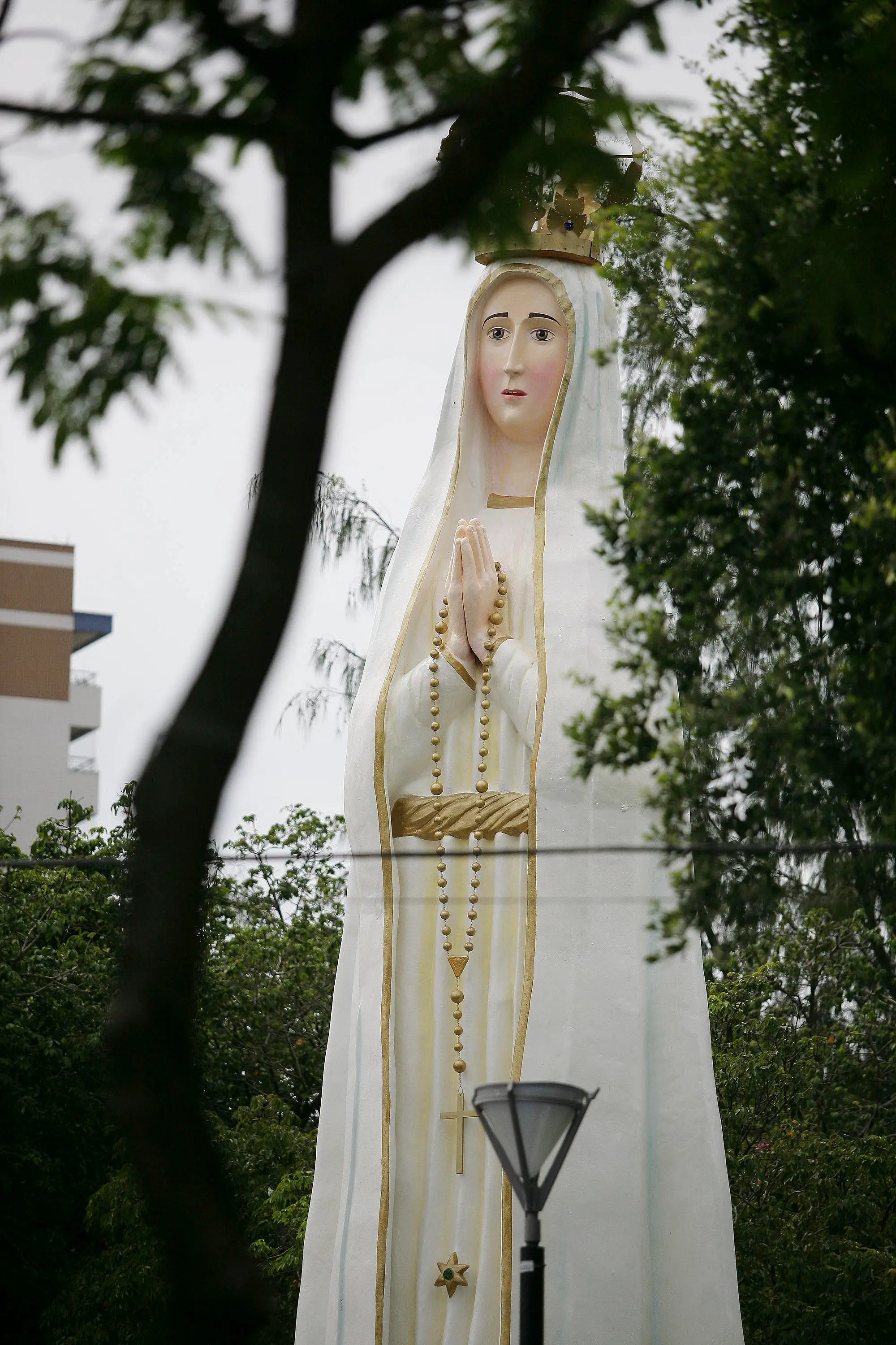 Uma fotografia em close da estátua de Nossa Senhora de Fátima, com o rosto e as mãos em oração em primeiro plano. A estátua é branca com detalhes dourados, e uma coroa dourada na cabeça. A imagem é vista por trás de uma árvore com folhagem verde escura, com um prédio branco ao fundo, parcialmente visível à esquerda.