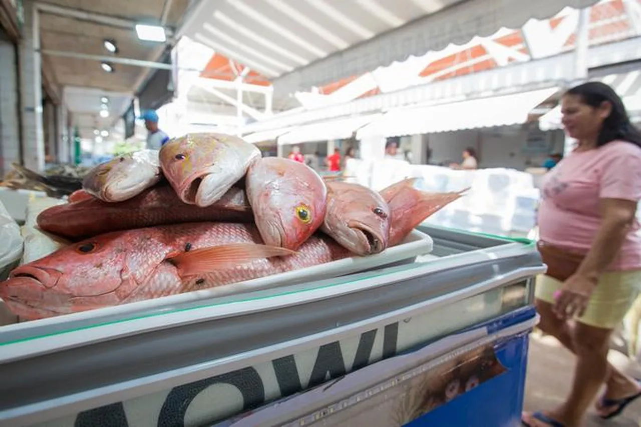 Ceará Sem Fome demandaria 15 toneladas de pescados por dia