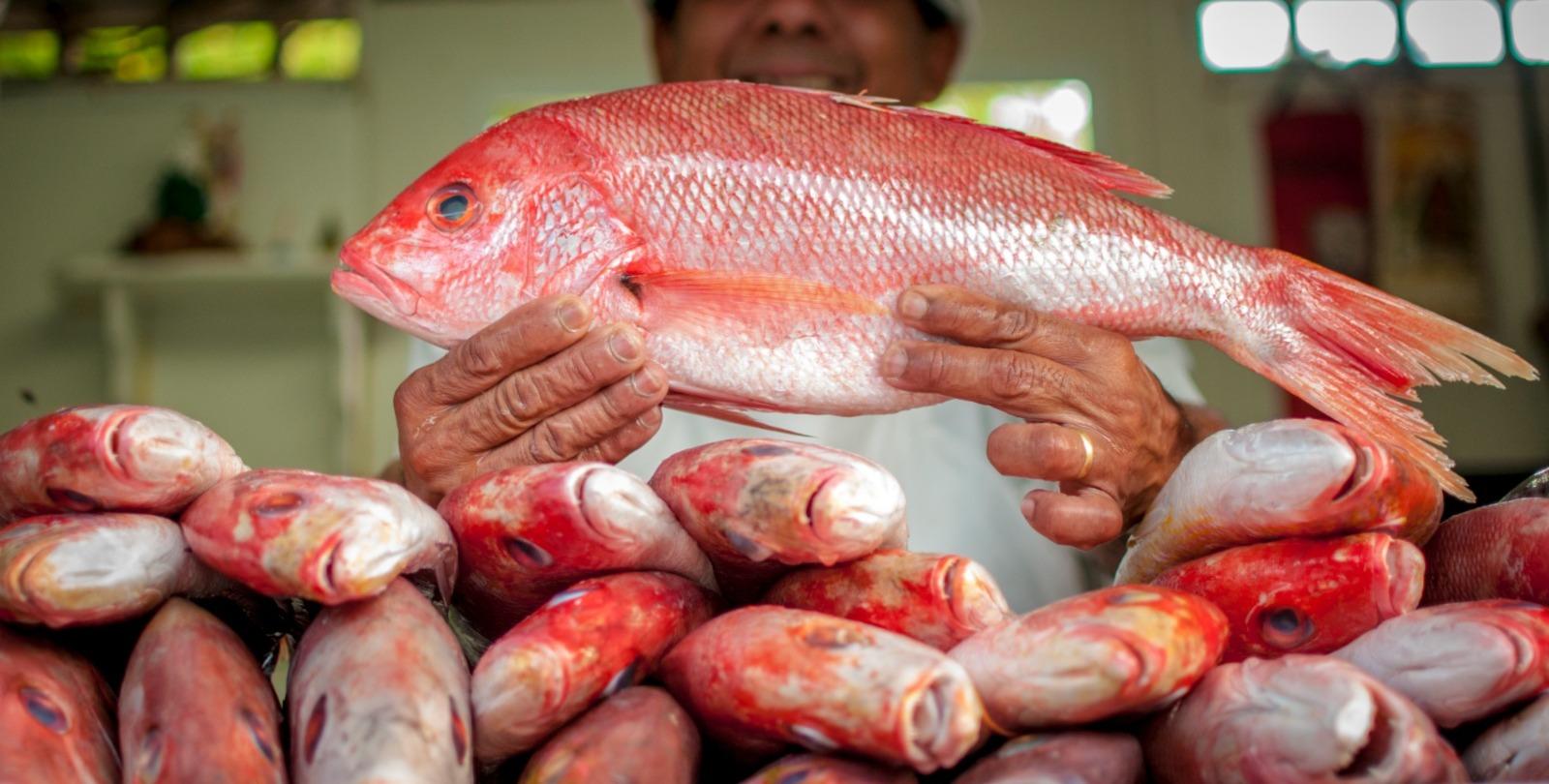 Foto que contém homem segurando peixe vermelho