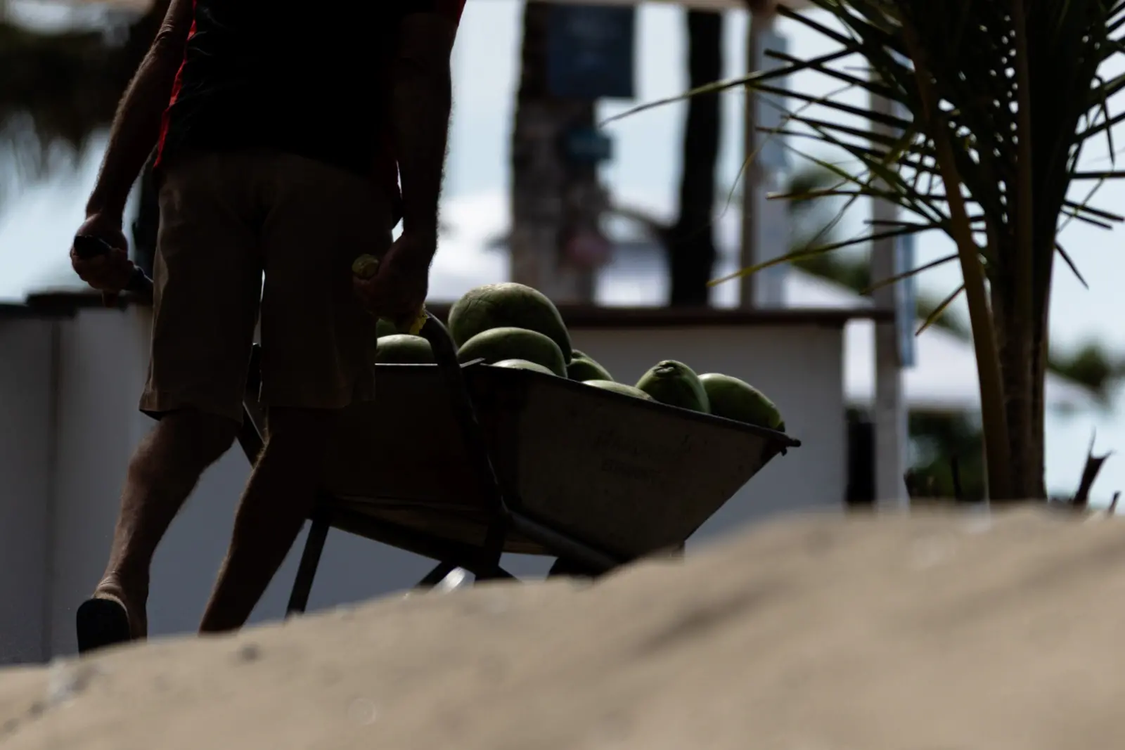 Foto mostra um vendedor de água de coco recebendo cocos de um fornecedor, na Beira-Mar, em Fortaleza